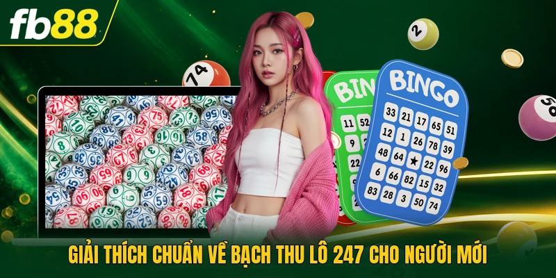 Giải thích chuẩn về bạch thu lô 247 cho người mới