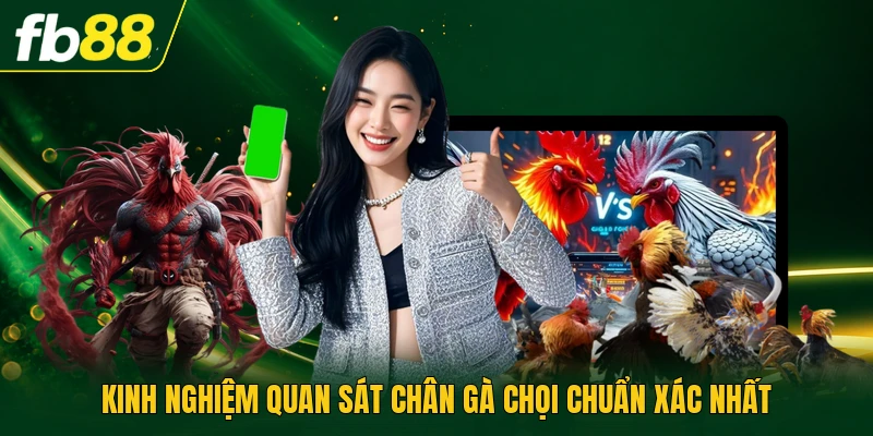 Kinh nghiệm quan sát chân gà chọi chuẩn xác nhất